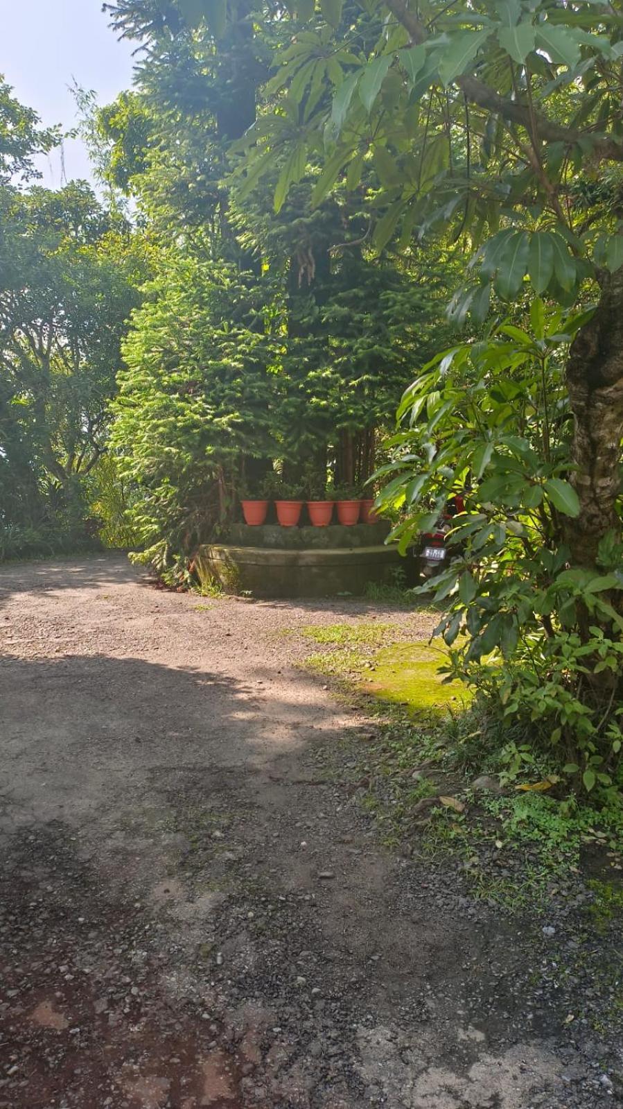 Hotel Aam'S Courtyard Kalimpong Exteriér fotografie
