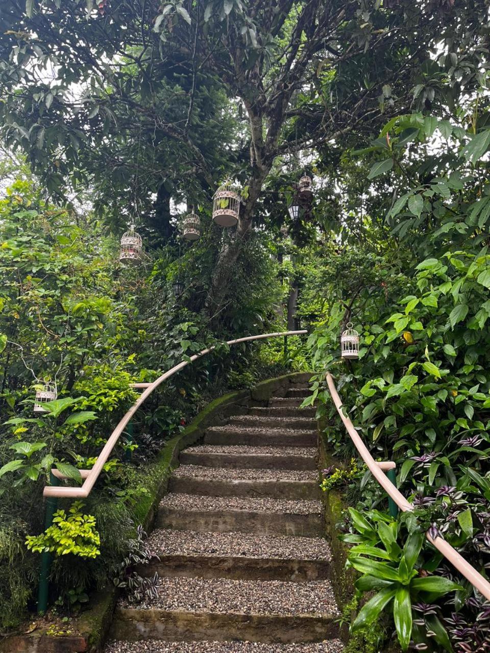 Hotel Aam'S Courtyard Kalimpong Exteriér fotografie